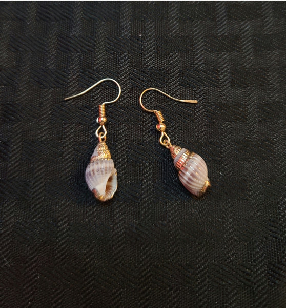 Small Shell Earrings